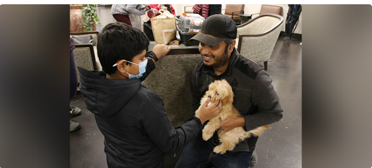 Puppy Air Travel: Flights, Weather & Pickup Guide